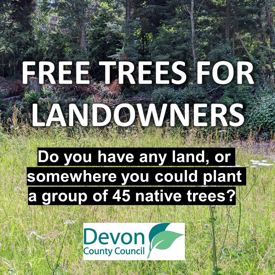 devonclimate's tweet photo. @DevonCC are offering free tree packs to landowners and communities within Devon for the fifth consecutive year! 🌳
Each pack will contain 45 trees comprising three types of native broadleaved tree:
https://t.co/8jIWSicT8A
#DevonFreeTreeScheme @WoodlandTrust https://t.co/gfdbOTcK3Y