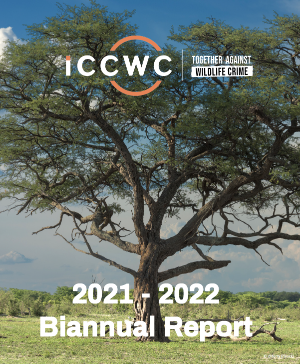 #WildlifeCrime has devastating consequences for #people, #planet & #prosperity. #ICCWC is a unique partnership to address this #threat.🌎 Read more about our work to combat wildlife crime in our biannual report: bit.ly/46fgQRJ #TogetherAgainstWildlifeCrime
