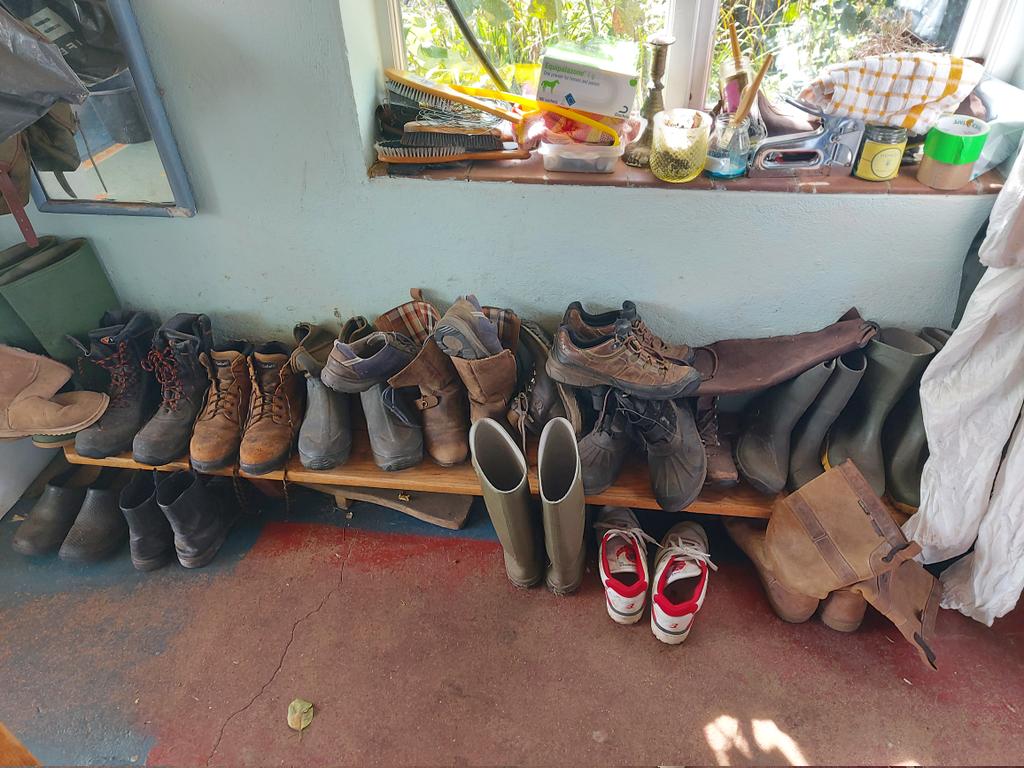 Something tells me we are not a house of dedicated followers of fashion.