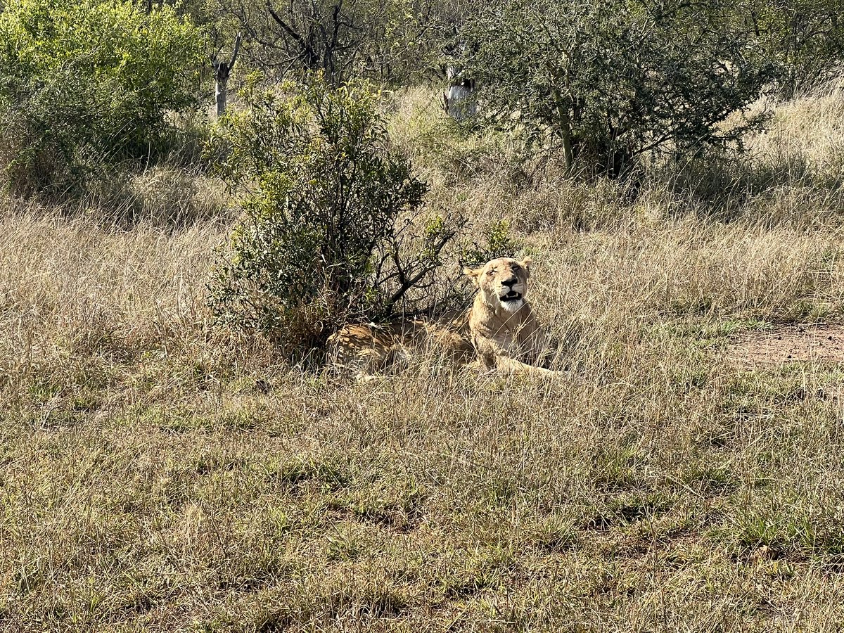 Nick Bell tweet media