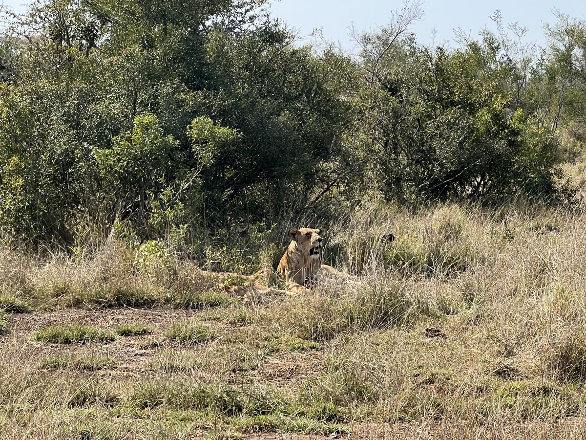 Nick Bell tweet media