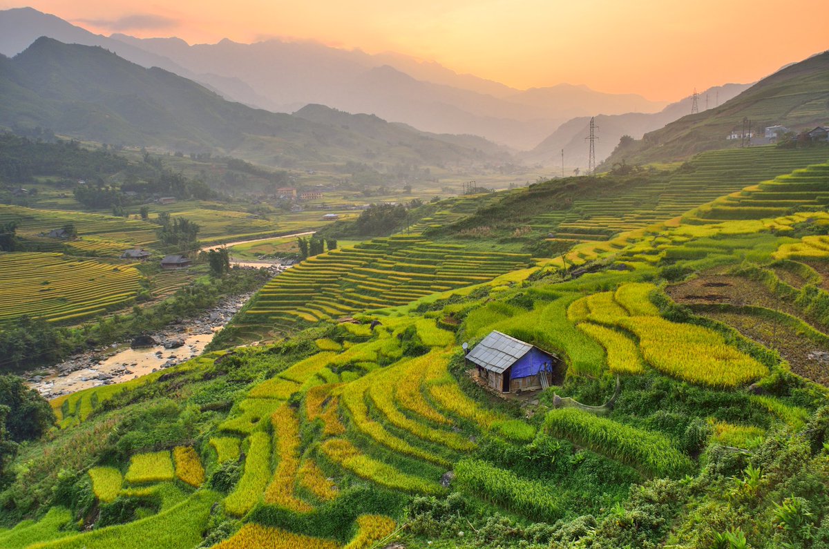 Vietnam is a country unlike any other. Steeped in history, Vietnam is home to enigmatic cities, lush jungles, stunning beaches and incredible food. 🇻🇳

You have 2 weeks left to save 25% on our best-selling Vietnam group tours. Book online today!

onthegotours.com/Vietnam