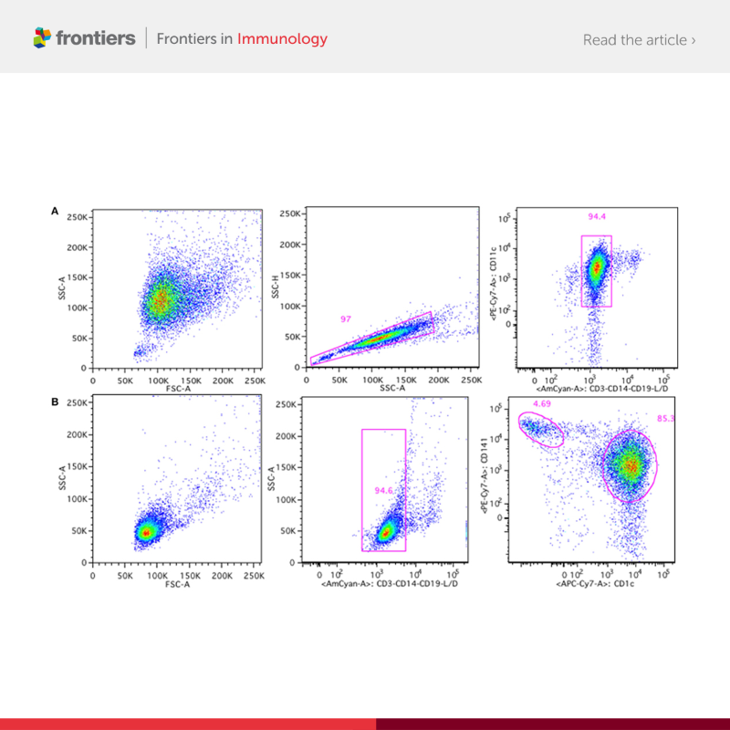 FrontiersIn's tweet photo. Scientists find that non-humanized nanobodies (Nbs) are theranostic candidates with a low immunogenicity risk profile, and consider the use of Nbs in CAR T-cell therapy to overcome immunogenicity.

Read more via @FrontImmunol ⬇