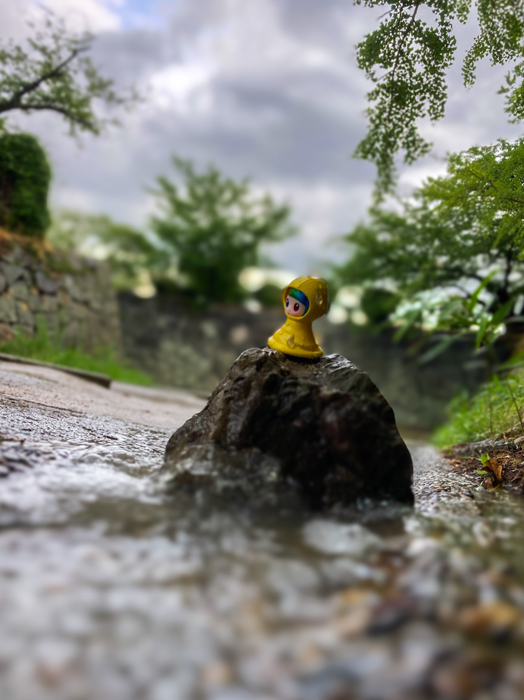 oniyanma64's tweet image. 雨の日
#POPMART大好き #POPMART #HAPICO