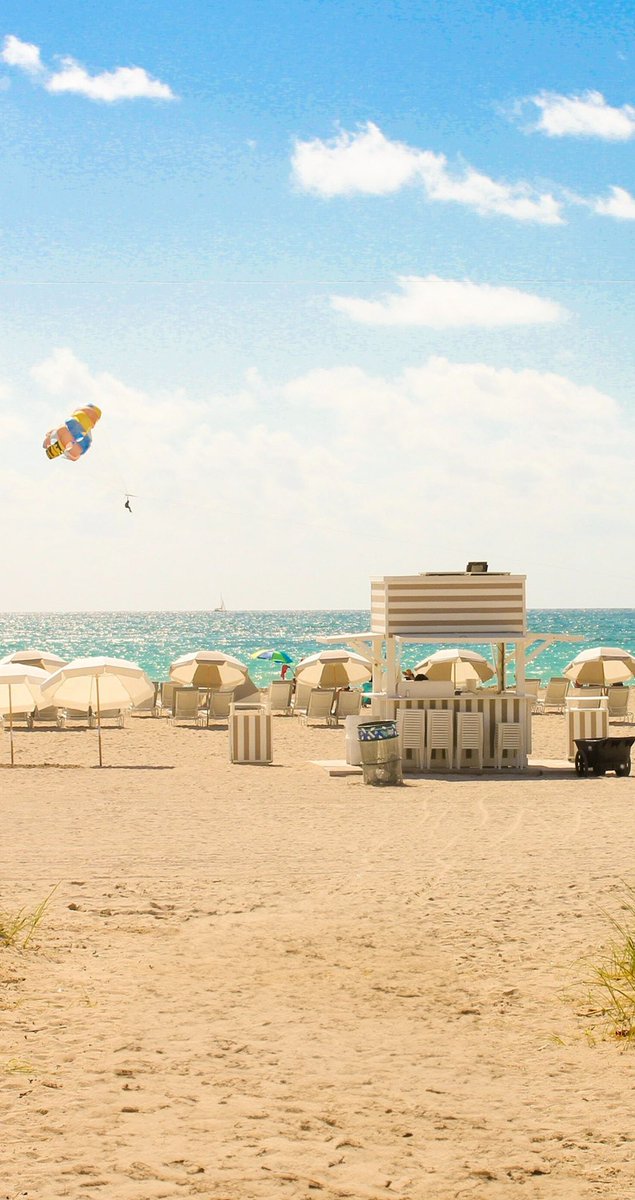 Norse Atlantic Airways tweet media