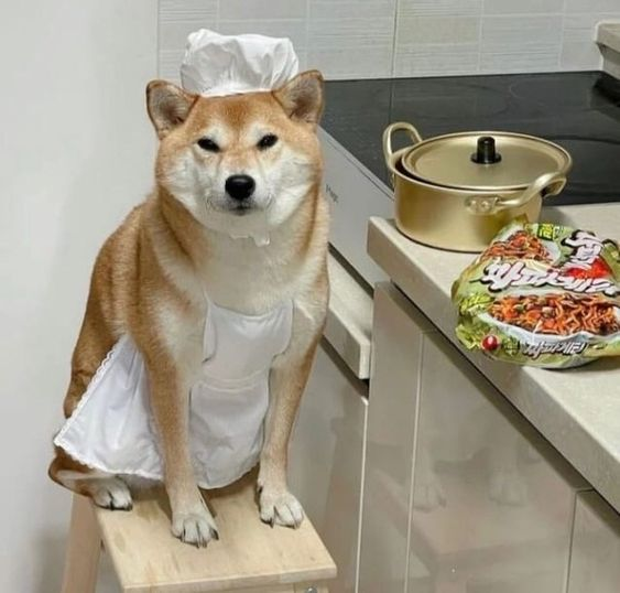 4life_ForceSHIB's tweet photo. Happy monday happy week
#Shib4life https://t.co/xqFvcCzo68