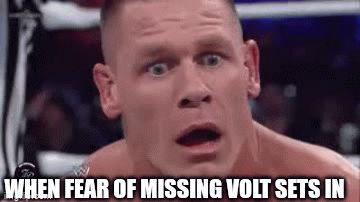 VoltInuOfficial's tweet photo. A matter of when not if ⌛⚡ https://t.co/cCS59IwlCT