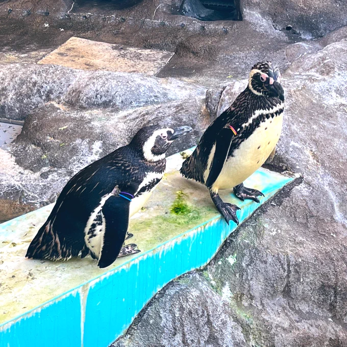 水族館に行った