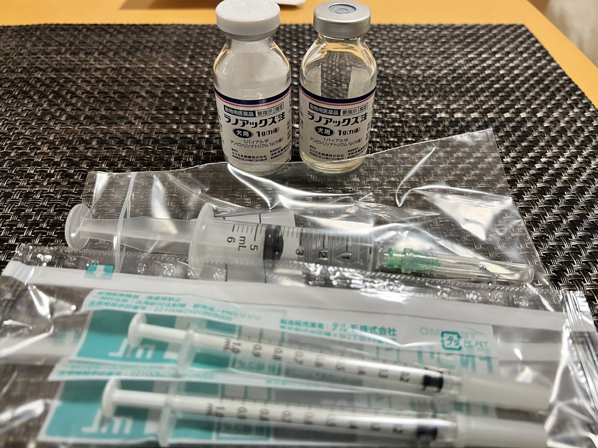 morimo_m's tweet photo. 病変がちょっと広がってる感じなので、抗生剤を変更しての治療です
今日は午前中2時間薬浴、これから違う薬で2時間薬浴
マニィも大変だろうけど、こっちも大変よ!笑
#クサガメ
#シェルロット
#亀治療中
#turtles
#shellrot https://t.co/jgRjUa0yRT
