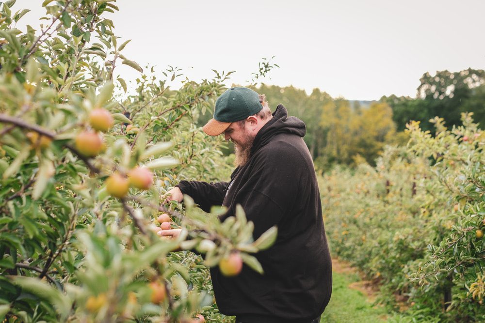 Pellicle (@pelliclemag) on Twitter photo We’ve got a brand new story coming this Wednesday all about Sussex’s <a href="/AscensionCider/">Ascension Cider</a>, written by <a href="/markdredge/">Mark Dredge</a> and photographed by <a href="/LilyWaite_/">Lily Waite-Marsden</a>. Keep up to date with new Pellicle features by signing up to our mailing list using the link below:
Pelliclemag.com/contact We’ve got a brand new story coming this Wednesday all about Sussex’s <a href="/AscensionCider/">Ascension Cider</a>, written by <a href="/markdredge/">Mark Dredge</a> and photographed by <a href="/LilyWaite_/">Lily Waite-Marsden</a>. Keep up to date with new Pellicle features by signing up to our mailing list using the link below:
Pelliclemag.com/contact