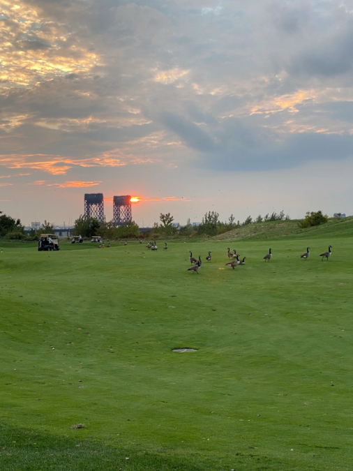 Golf is more than just a sport, it's a way to connect with friends and enjoy the great outdoors 🌳⛳️