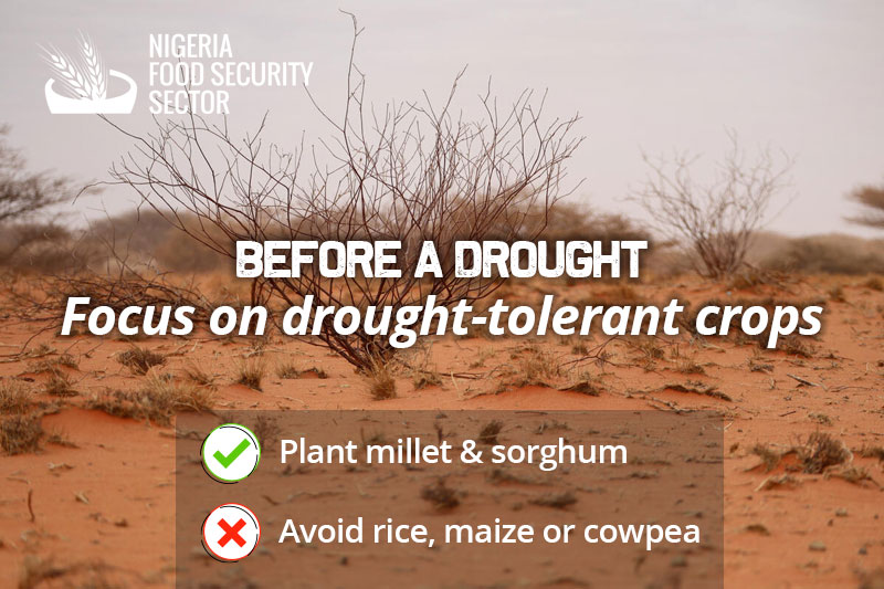 FSCluster's tweet photo. #SpecialTips
☀️Before a drought
🌾Plant millet & sorghum
⛔️Avoid rice, maize, cowpea
#FSCNigeria #FoodSecurity #agriculture https://t.co/2Jz5fZE249 https://t.co/mjpDCHgeHN