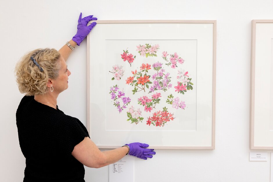 Royal Horticultural Society Libraries tweet media