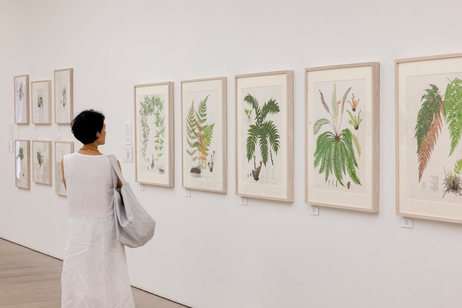 Royal Horticultural Society Libraries tweet media