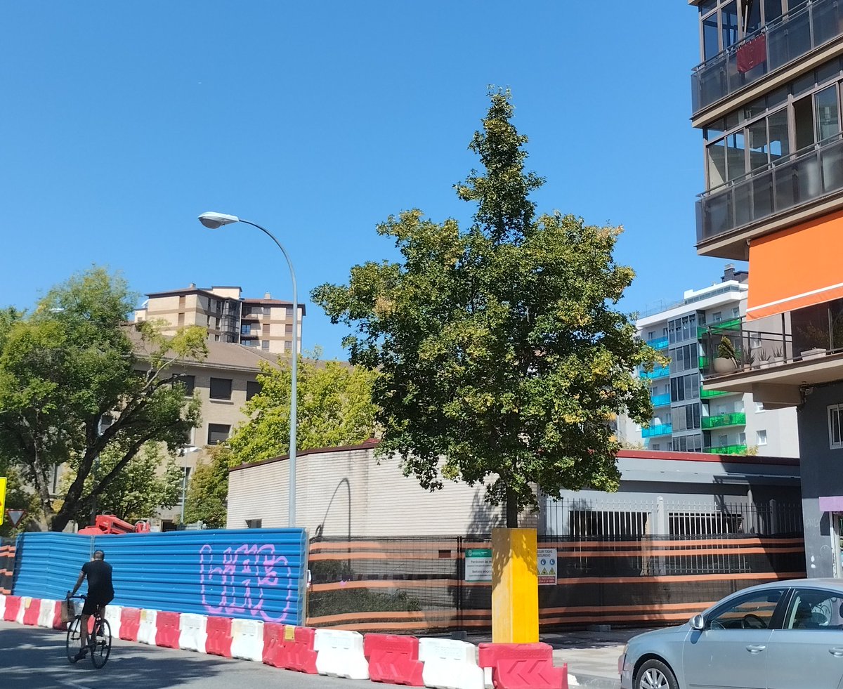 txemasun's tweet photo. Hola @Pamplona_ayto .
Más cemento y menos árboles?
Molestaba el árbol más grande que había en la Avda. Barañáin?
Con qué vais a sustituir ese árbol?
Vais a explicar a l@s vecinos el proyecto de la escuela infantil?
Farola sí,árbol no?
Empieza bien.
VERGONZOSO
Se agradece retweet https://t.co/2znV6Xad0n
