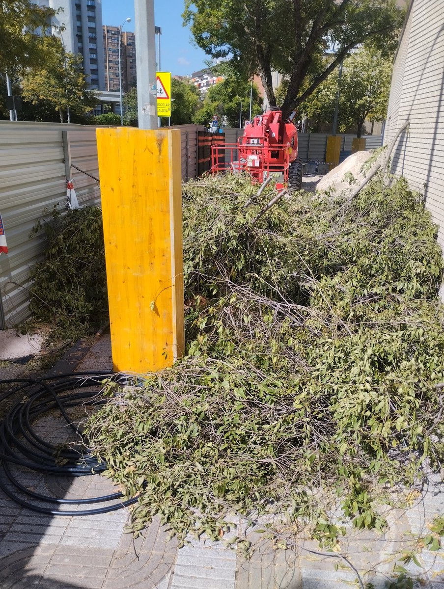 txemasun's tweet photo. Hola @Pamplona_ayto .
Más cemento y menos árboles?
Molestaba el árbol más grande que había en la Avda. Barañáin?
Con qué vais a sustituir ese árbol?
Vais a explicar a l@s vecinos el proyecto de la escuela infantil?
Farola sí,árbol no?
Empieza bien.
VERGONZOSO
Se agradece retweet https://t.co/2znV6Xad0n