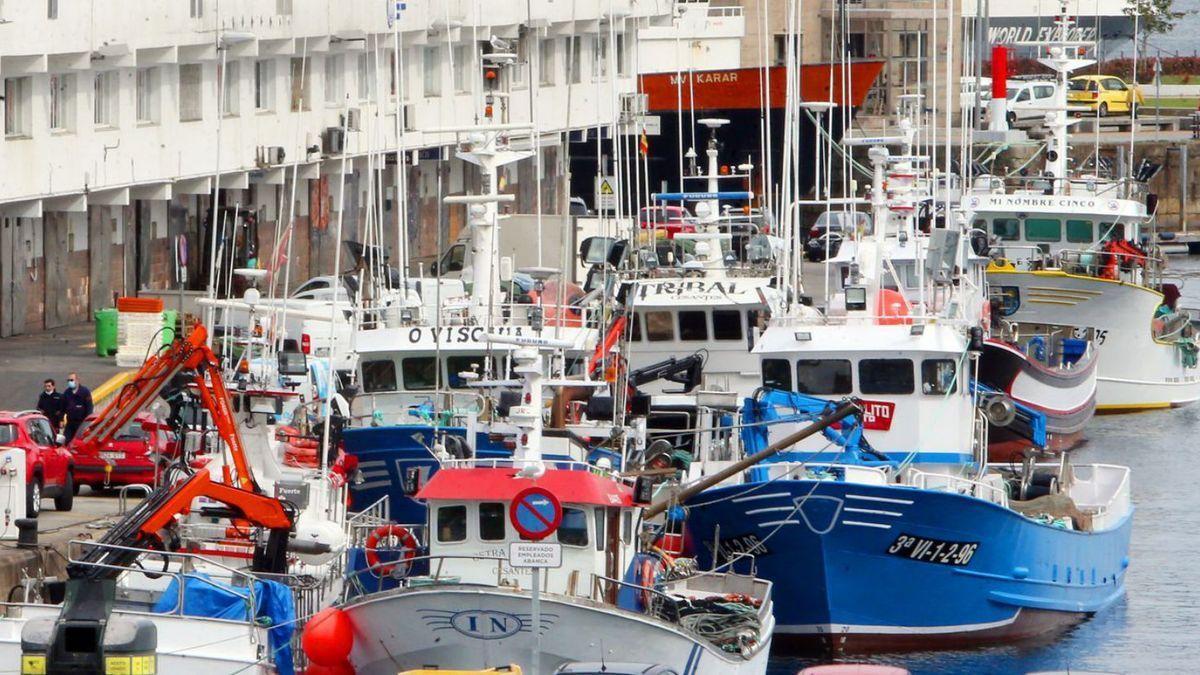 pescazull's tweet photo. 🌊El sector pesquero en nuestro país tiene un importante peso histórico y tradición. España es uno de los países líderes en producción pesquera y una de las grandes potencias del sector en la Unión Europea.
#PescaAzul #DelMaralaMesa #Pesca #Acuicultura https://t.co/Brw0mpvki4