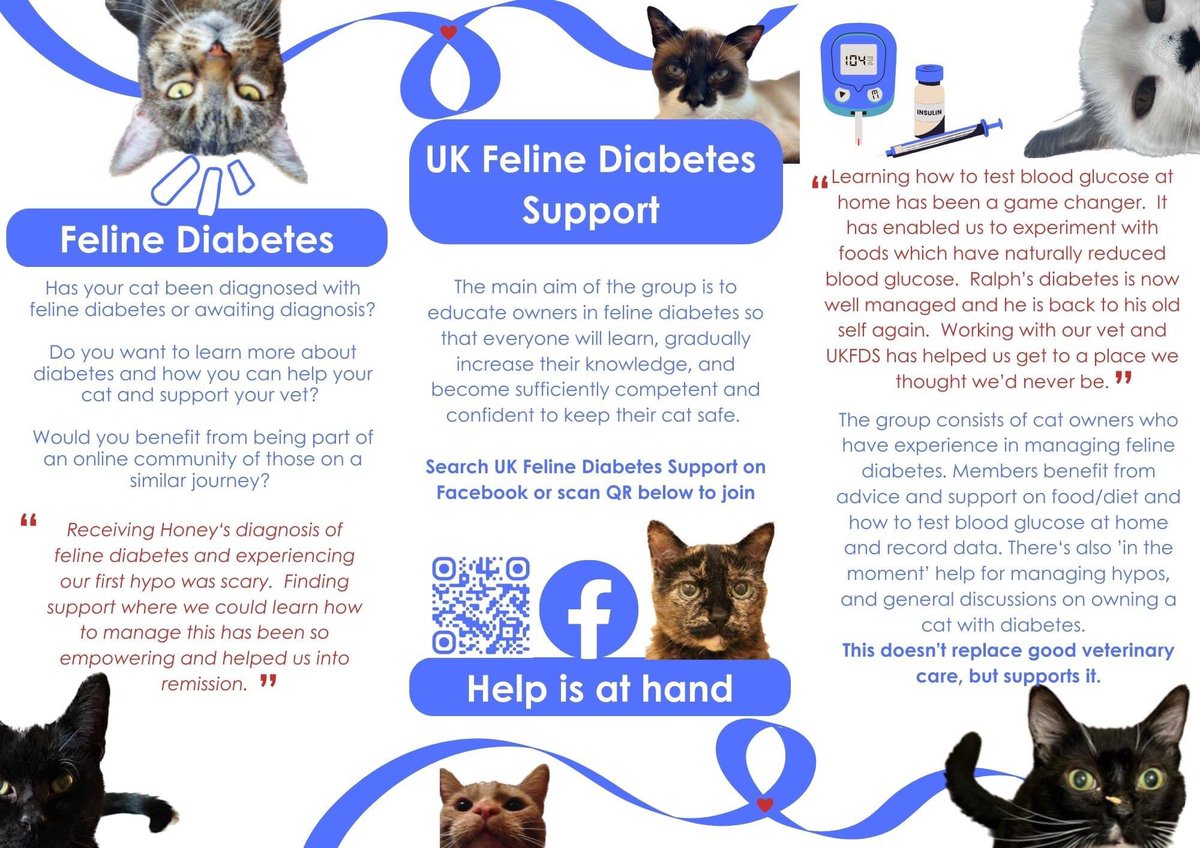 #felinediabetes #support #UK #cathealth #felineendocrinology #ukvets #vets4pets 

Let’s work together to ensure all cats receive the best care possible