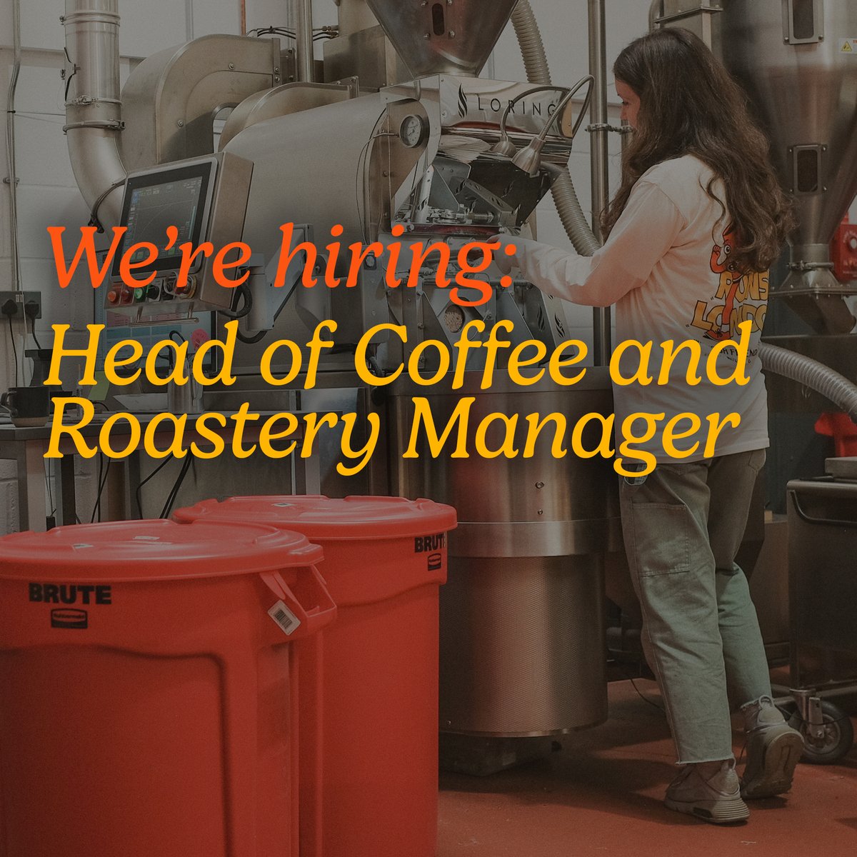 Exciting Opportunity Alert! We are looking for a new Head of Coffee and Roastery Manager to join our team. You will oversee and manage our roastery operation and have experience in managing people, green coffee buying and quality assurance. hard-lines.co.uk/pages/careers