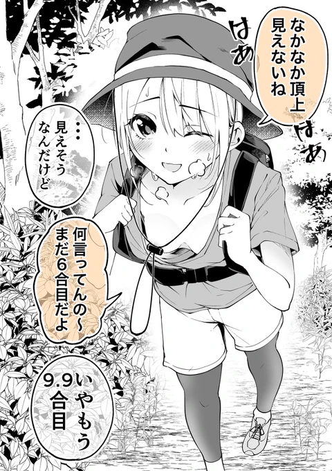 目指せいただき 