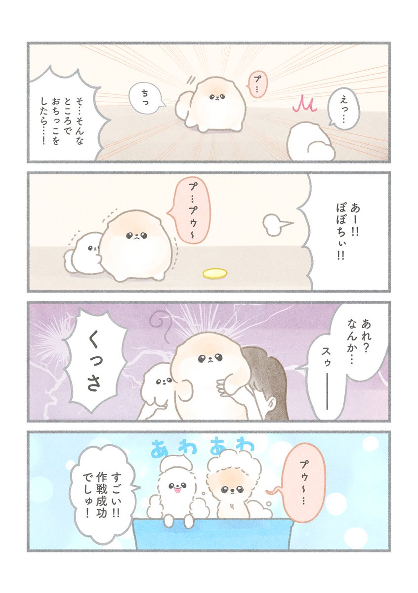 ぽぽちとぱぴち⑦ 2/2