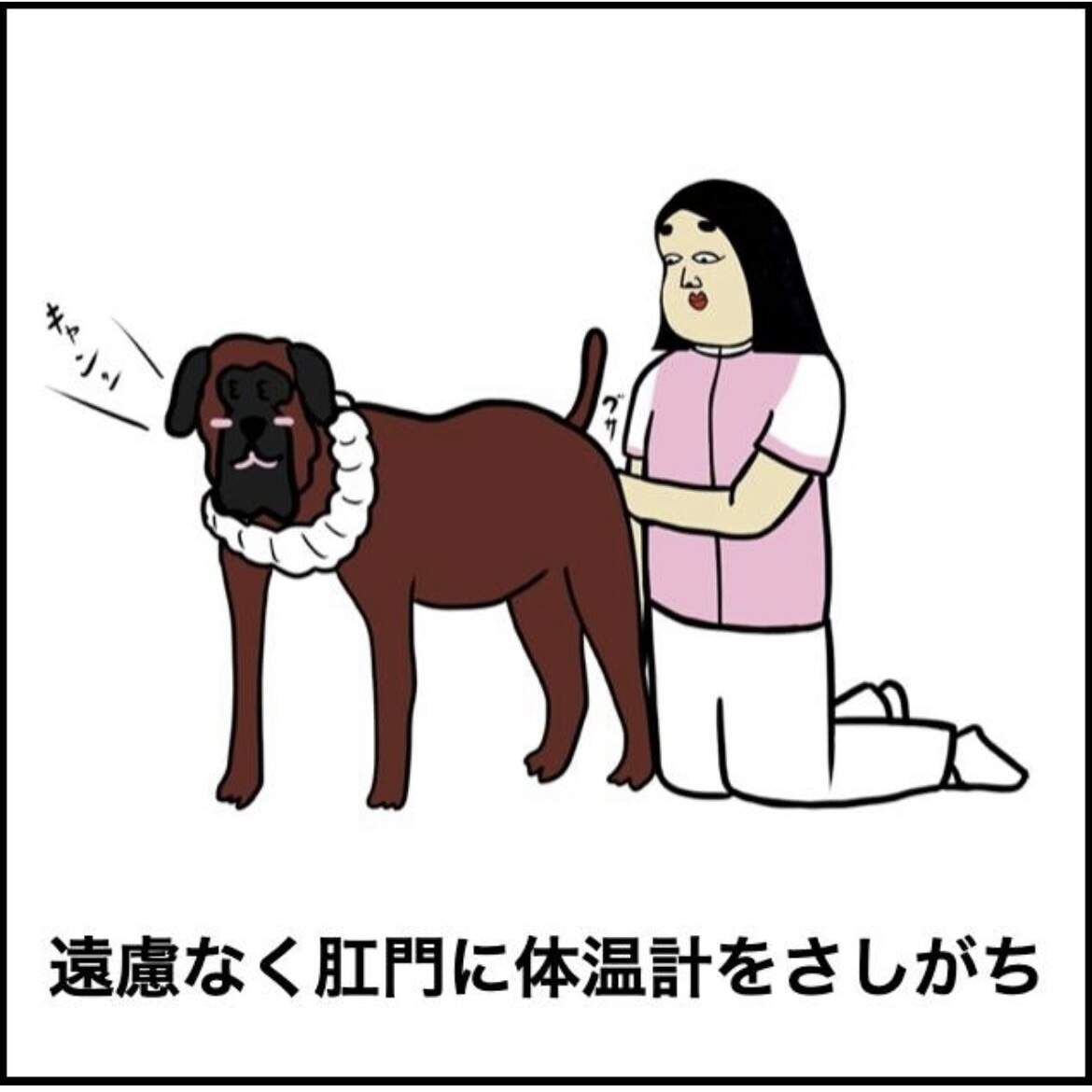 動物看護師あるある