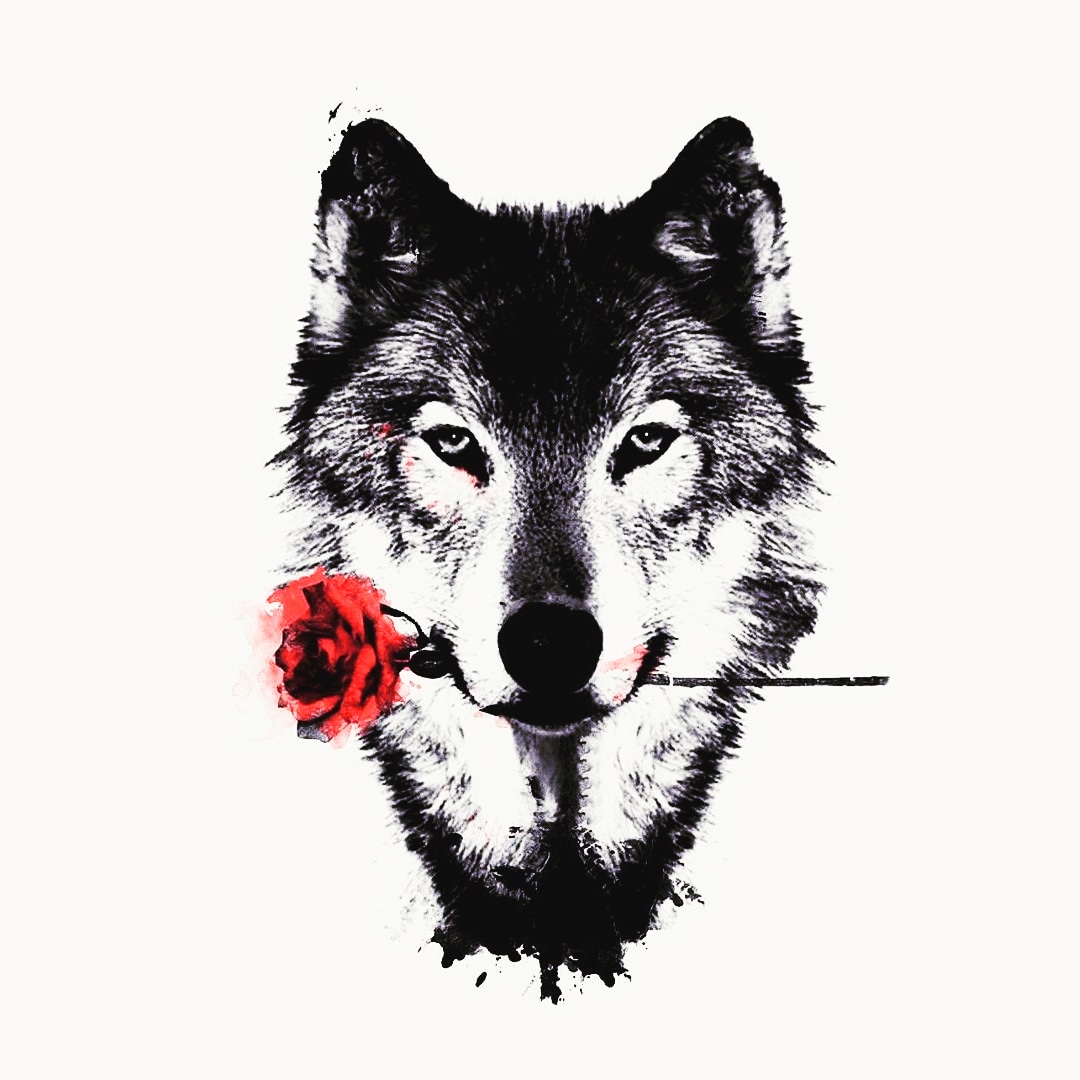 SawRawTweets's tweet photo. #NewProfilePic https://t.co/EiIPckSRdn