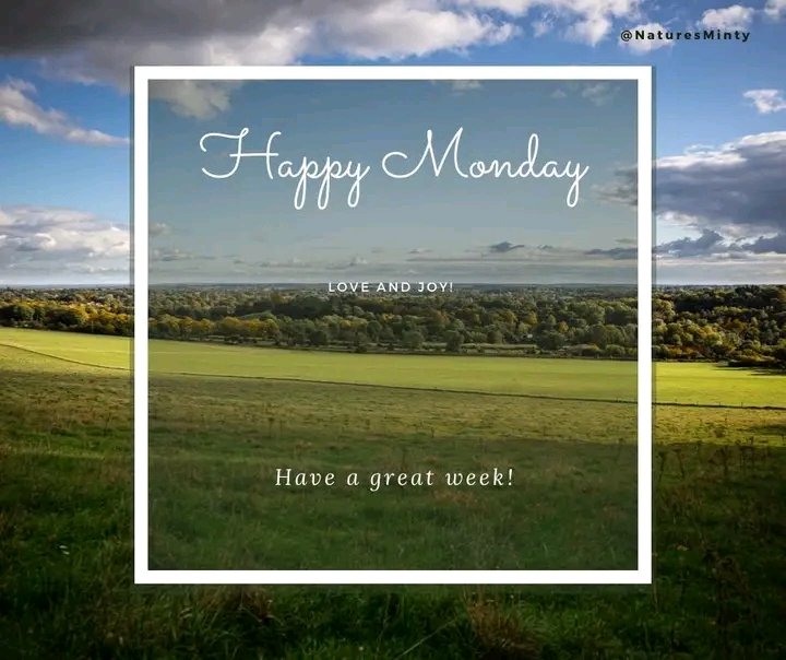 naturesminty's tweet photo. Good morning!
Happy New week!
.
*****IFB, ASAP*****
62% of Nigerians Rwanda #MakokoGirls Pastor Tunde Bakare Bet9ja50m Church Steff Dorathy #BBNaija #BBNAllStars #bbnaijaAllstars #zomergasten https://t.co/kYY5PhSeRp