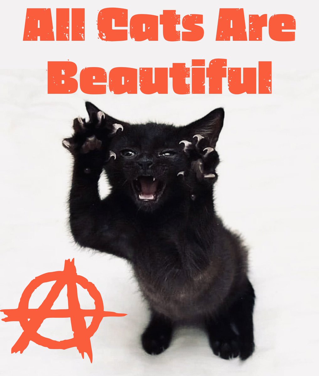 SpiderJerus's tweet photo. Bonjour les amis 😘🖤✊🏴🐈‍⬛ https://t.co/YgAdov2VYe