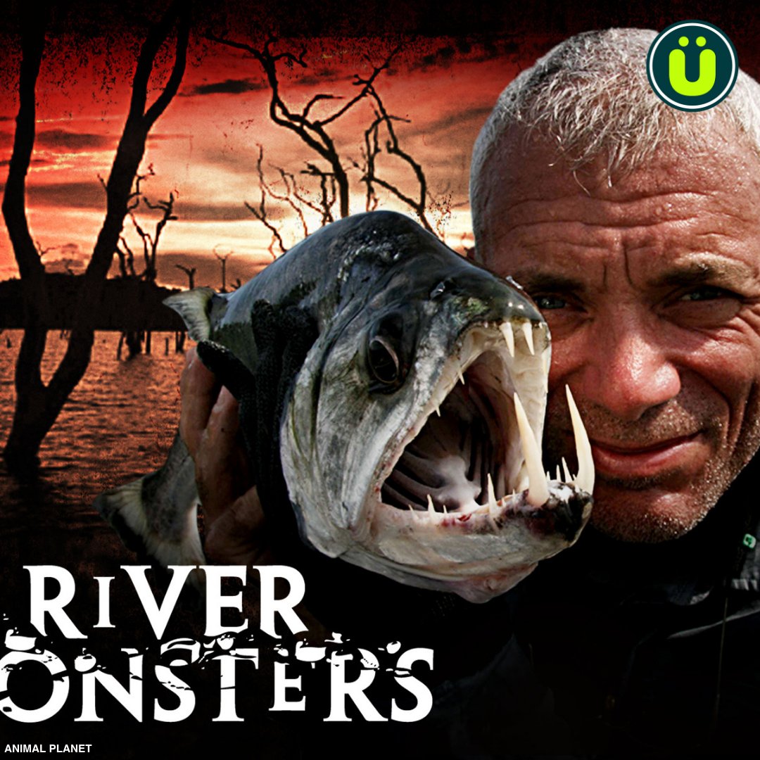 The Animal Planet show 'River Monsters' ended because Jeremy Wade caught nearly every large freshwater fish species on earth, leaving no content for the show