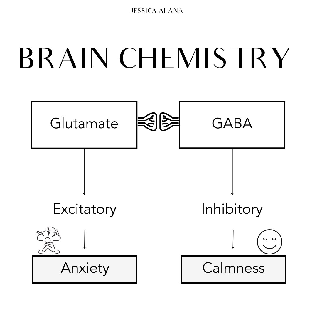 jessicaalanas's tweet photo. Your anxiety is not a random occurrence.

Your anxiety is the result of predominantly neurotransmitter imbalances (in short).

A quick thread. https://t.co/Zn94gEZn3D