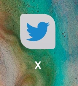 hellcarrera's tweet image. OMG my phone does not want to change logo @elonmusk @X