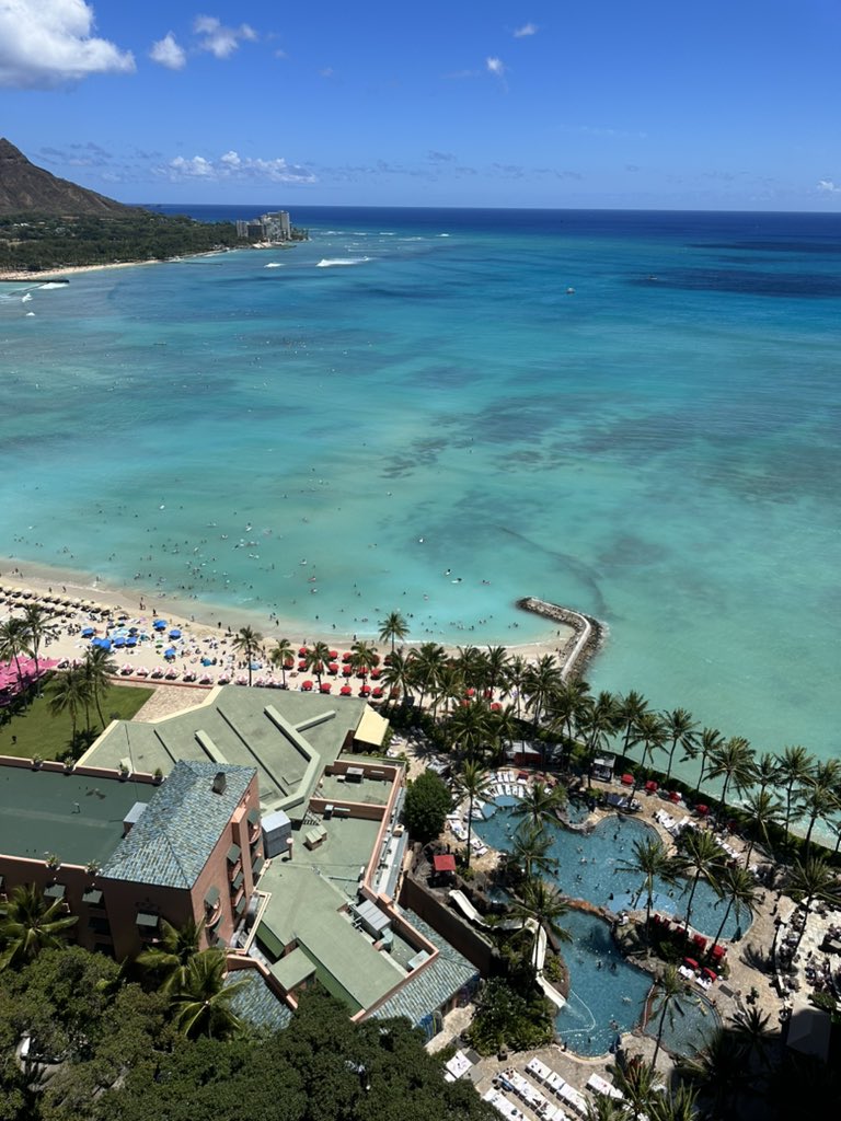 Unbranded tweet media