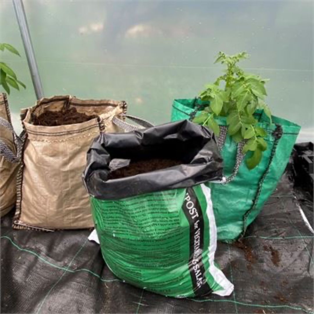 DalefootCompost's tweet photo. Springtime in August! No dig gardening expert @Steph_Hafferty has written a blog about what to sow now for winter and spring harvests and how to grow potatoes for Christmas - starting right now.

Click to read 👉 https://t.co/wurcKiyOFA

#organicgardening #peatfree https://t.co/61fH4wgofu