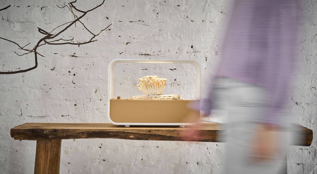 Shrooly is a genuinely innovative IoT device designed to assist users in cultivating a variety of mushrooms automatically. BitRaptors is actively involved in developing their native mobile apps for both Android and iOS.

More details: buff.ly/3OpKtYr 
#productdevelopment