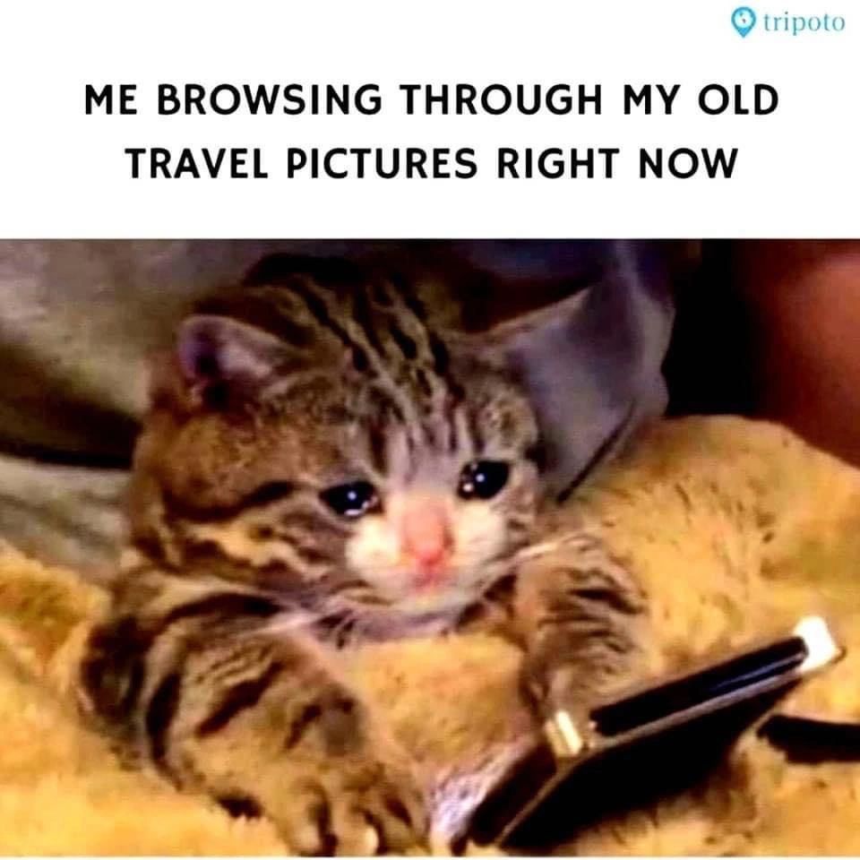 Travelplanet (@travelplanet11) on Twitter photo 