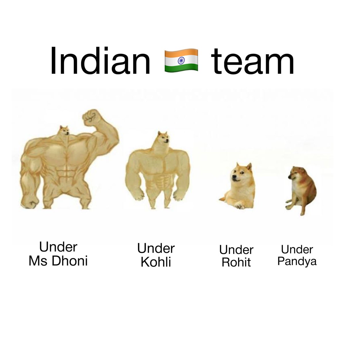 Team India 🇮🇳