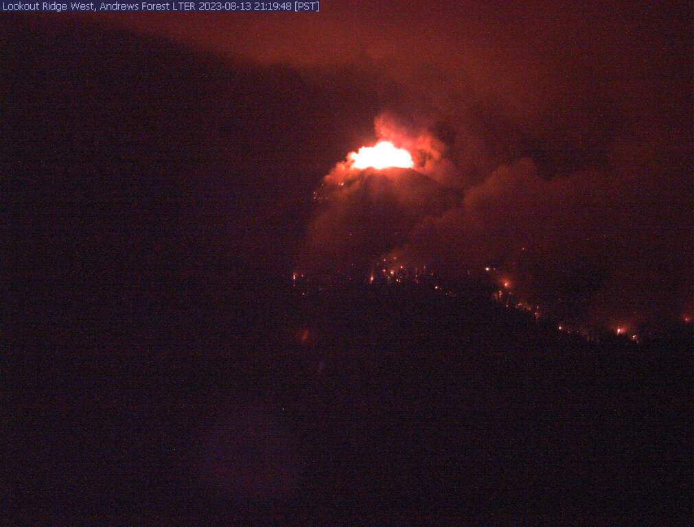 August 13, 10:30 PM

Everyone from HJA headquarters is out and safe.

andrewsforest.oregonstate.edu/about/news-eve…

<a href="/USLTER/">US LTER</a> <a href="/usfs_pnwrs/">Pacific NW Research</a> <a href="/MattBetts11/">Matt Betts</a>