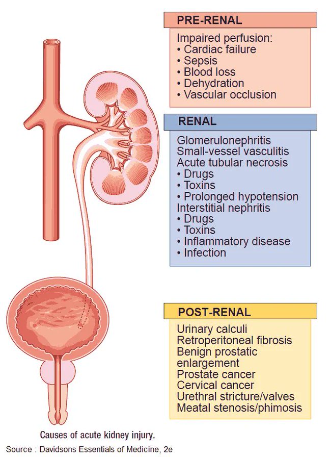 #Clinicalmedicine