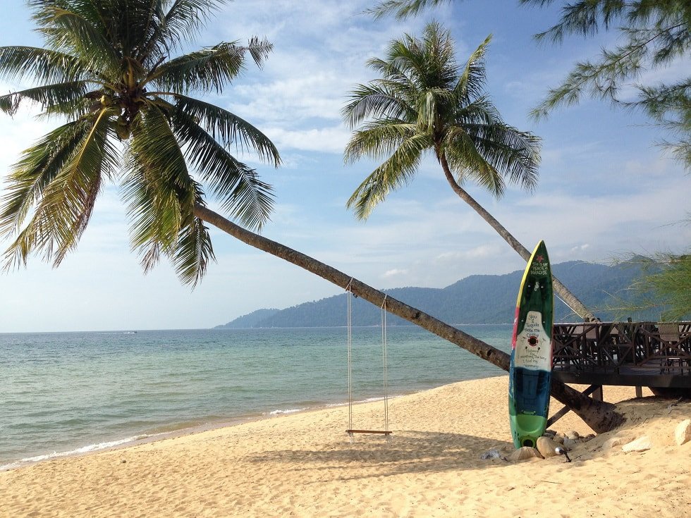 We are seeking an assistant/associate professor in bioinformatics/computational biology/AI in life sciences. ntu.wd3.myworkdayjobs.com/en-US/Careers/… The position comes with an attractive start-up fund, remuneration, and a very generous funding system. P.s. the place in the pic is &lt;1 hour away.