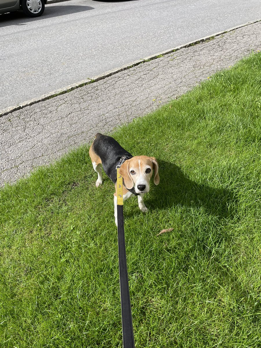 Always be sniffing 👃