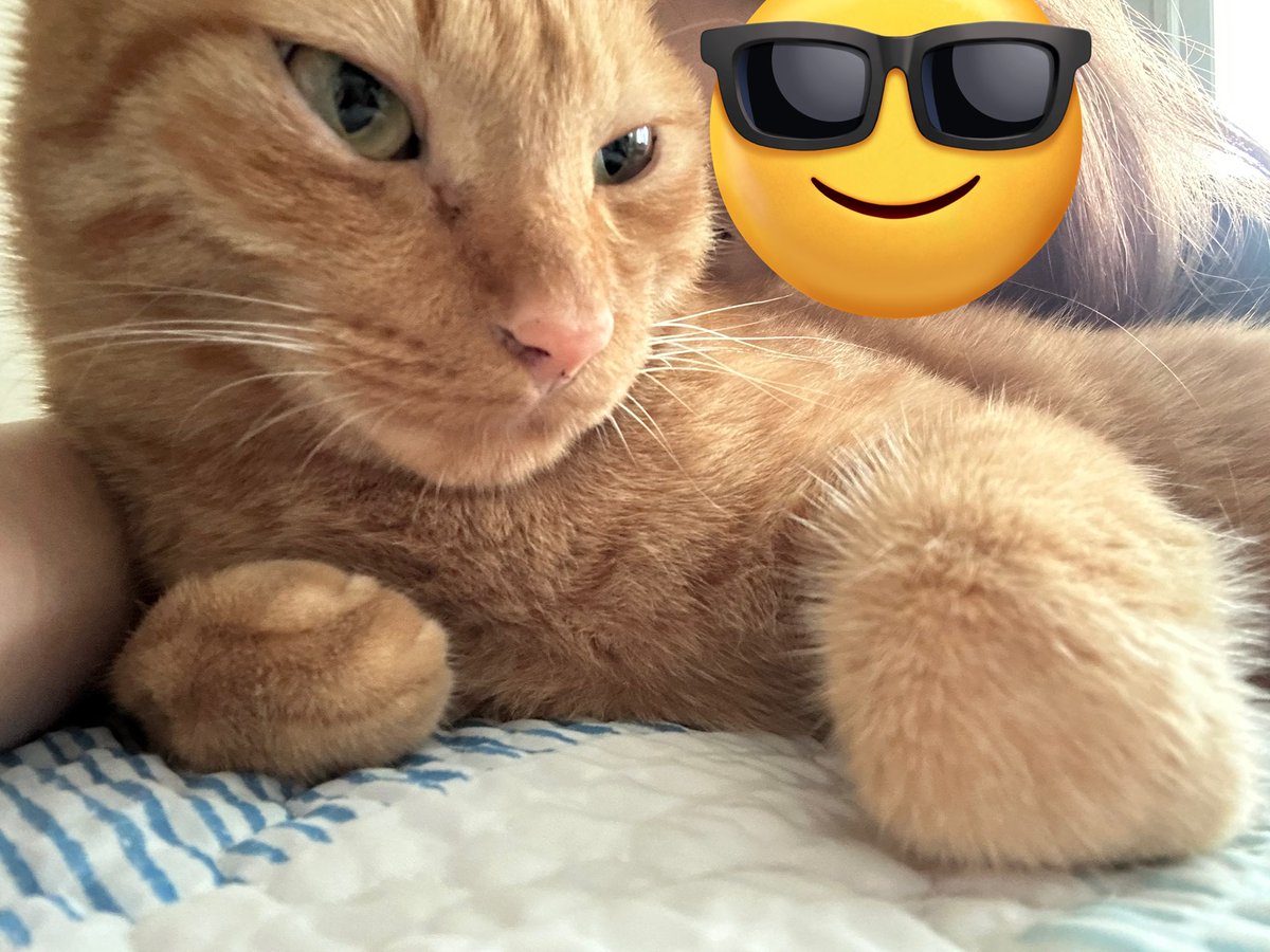 카메라를 보셔야죠~