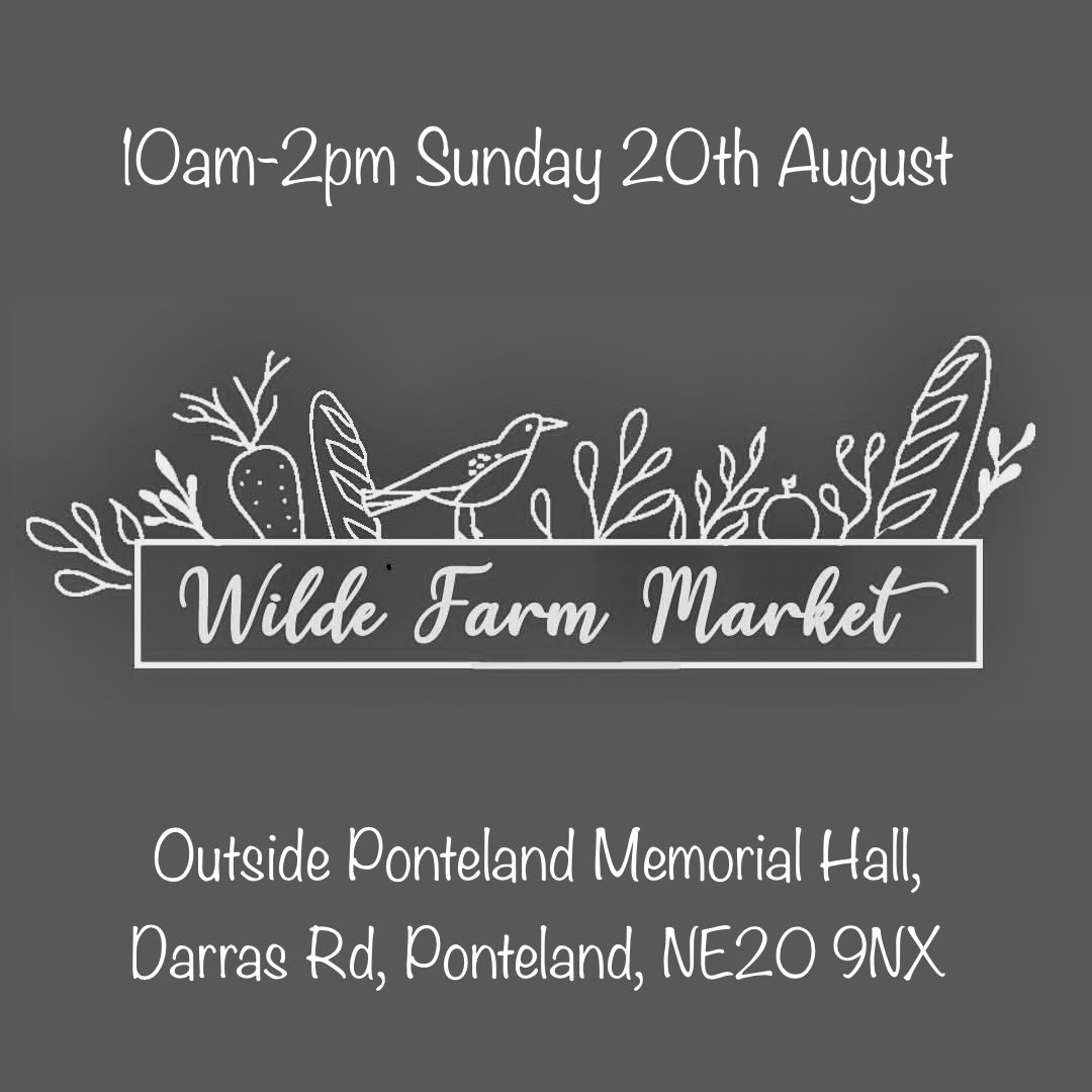 This Sunday <a href="/PontMemHall/">Ponteland Memorial Hall</a> 👍