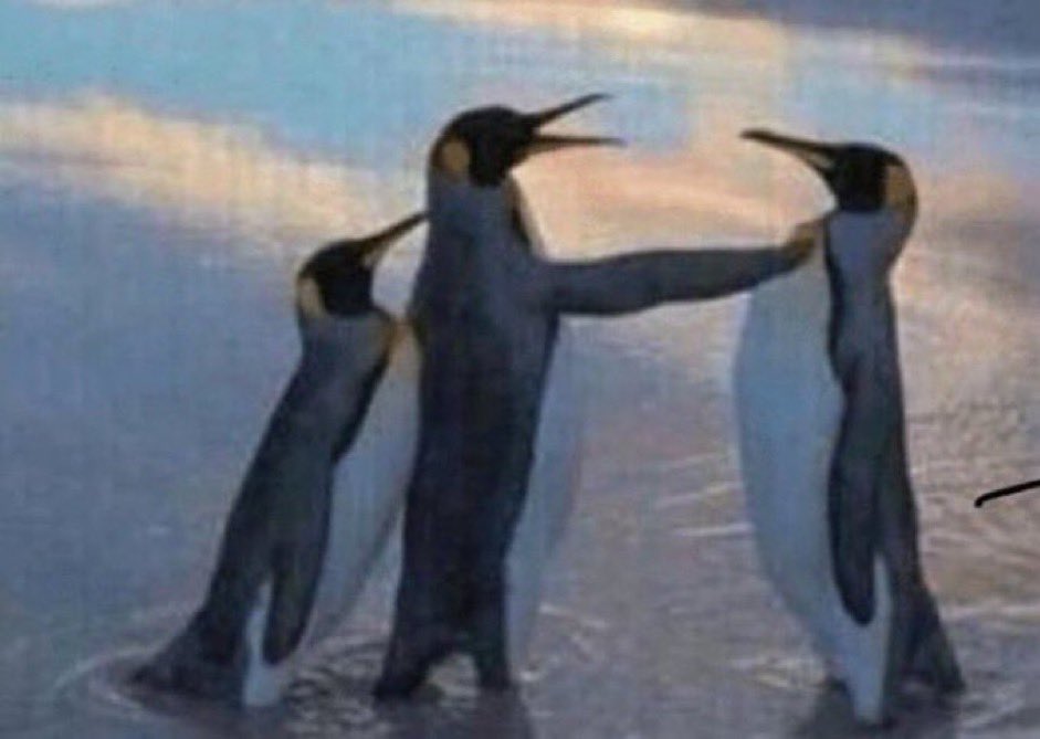 /: interact with me.. NOW /lh