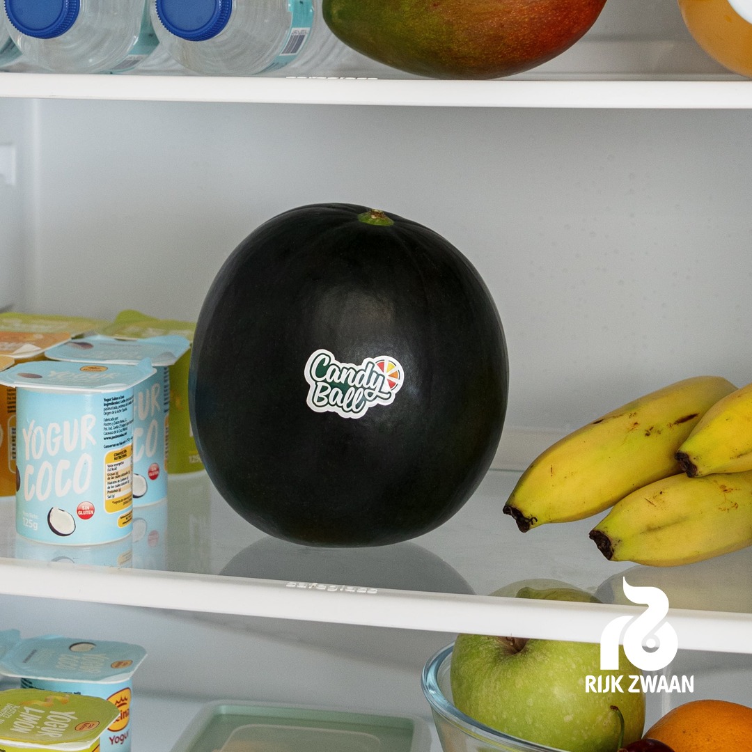 🍉 En <a href="/rijkzwaanES/">Rijk Zwaan ES</a> nos dedicamos a aprovechar al máximo la sandía investigando formas innovadoras de utilizar su piel y minimizar residuos. ¡Y lanzamos nuevas variedades que caben en tu nevera!

¿Buscas inspiración para incluir sandía en tus platos? ➡️ hubs.la/Q01ZWnmK0