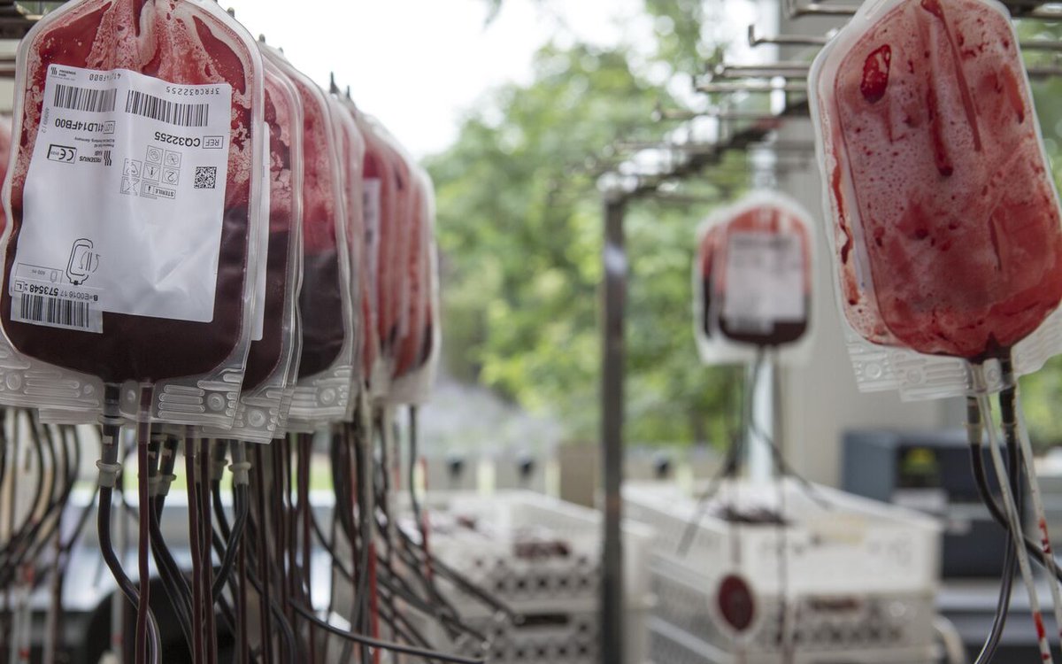 Madridonasangre's tweet image. 👉 Estamos teniendo una media de 550 donaciones diarias y son necesarias 900 para poder dar respuesta a toda la actividad hospitalaria.

❣ Si tienes más de 18 años, pesas más de 50 kilos y tienes buena salud, puedes donar. ¡Anímate!

📱 c.madrid/donasangre

#donasangre