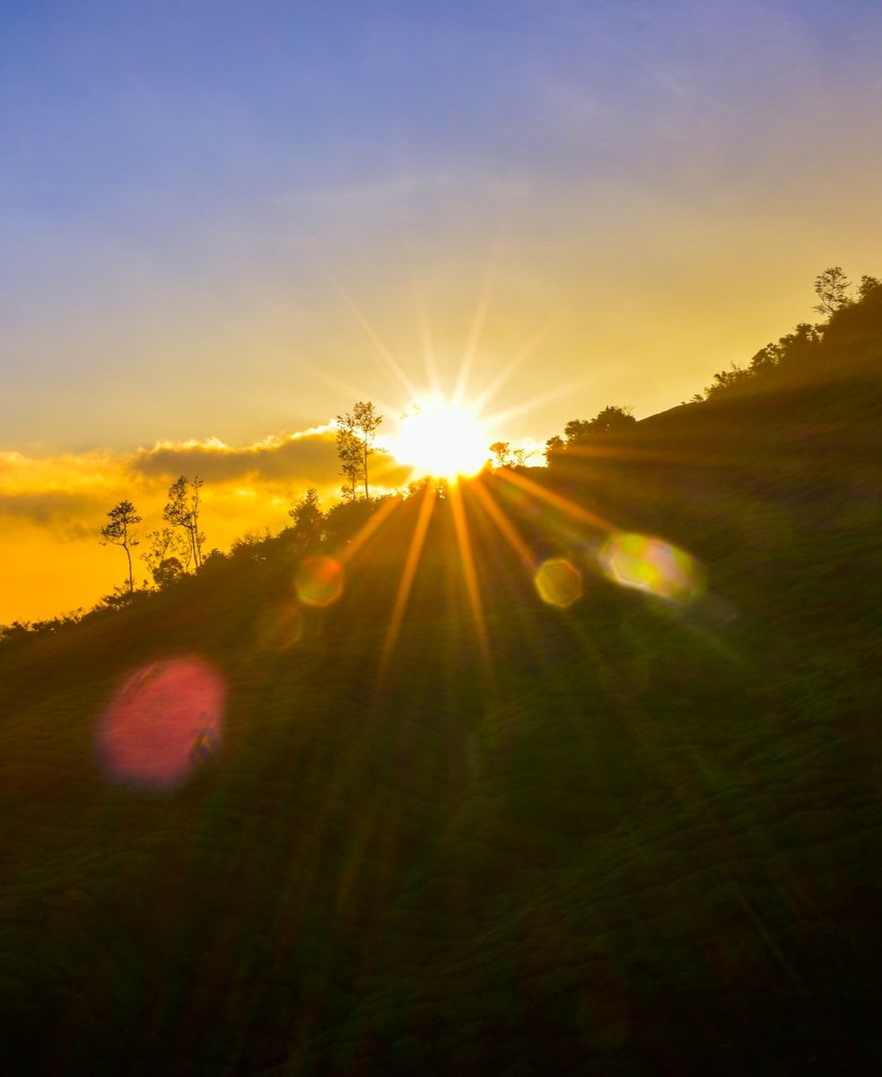Have a radiant fresh start to an amazing day and week, friends ☀️⛰️☕️🌹🧡🍀
🍃