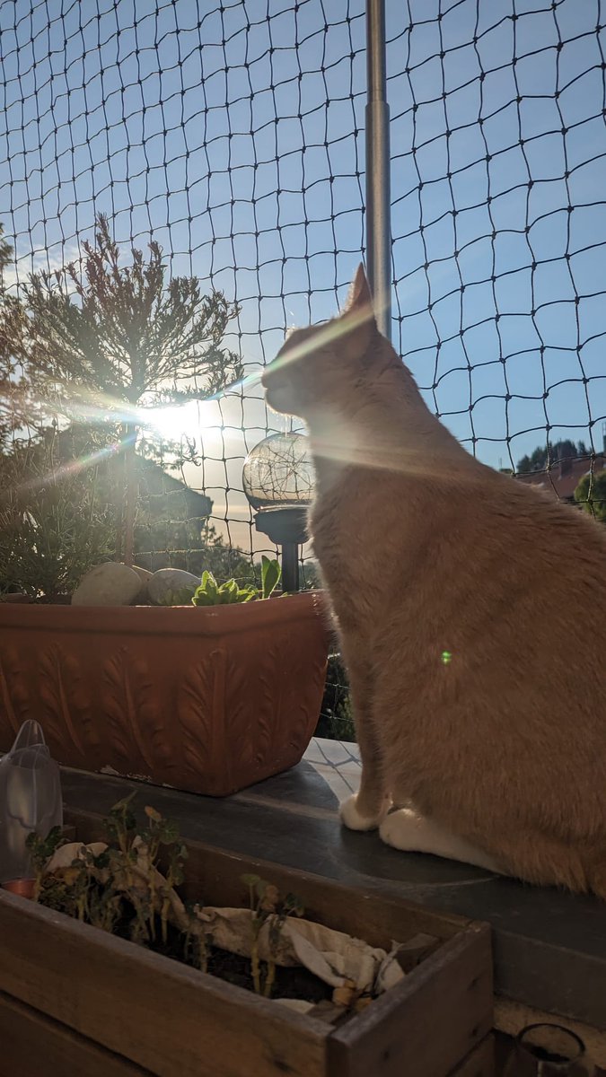 PhunkRoyal tweet media