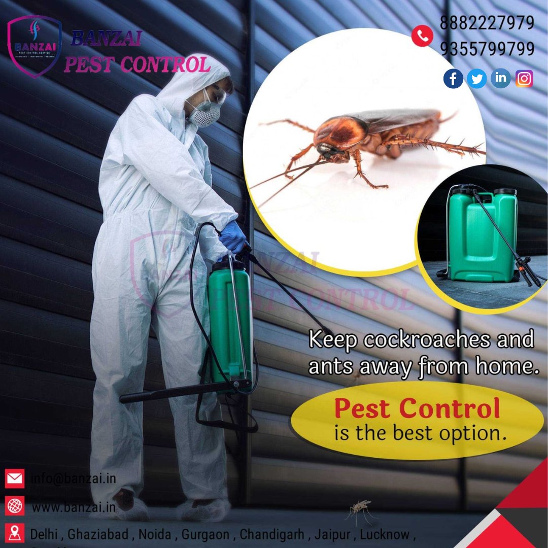 BanzaiPest_'s tweet photo. 👉 Keep #Cockraoaches &amp; #Ants Away From Home - #PestControl is the best Option
👉 Book An Appointment Today!
👉 Guaranteed Results
.
#delhi #gurgaon #noida #greatornoida #sahibabad
#BanzaiPestControl
📞 +91-8882227979/9355799799
📧 info@banzai.in
🌐 https://t.co/blVVLEuVpX https://t.co/beviYTCAJK