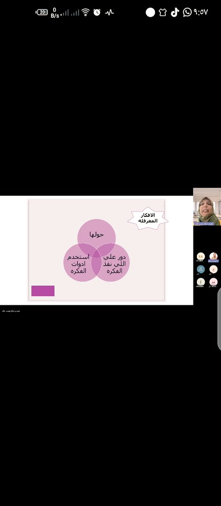 Sherien gamal  tweet media
